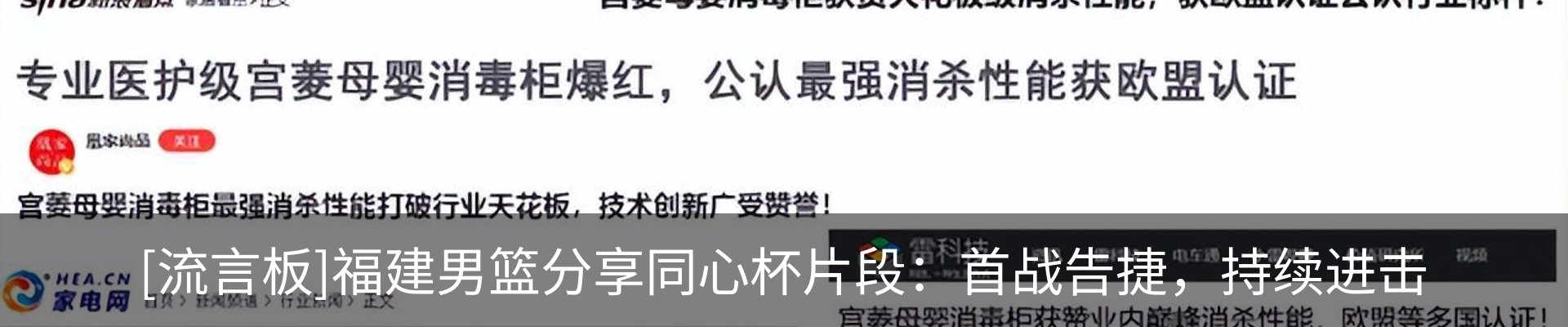 新闻动态